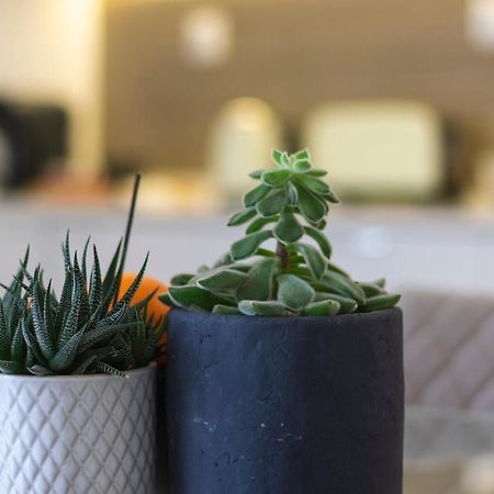Apartmán Casas Da Oliveira Setúbal Exteriér fotografie