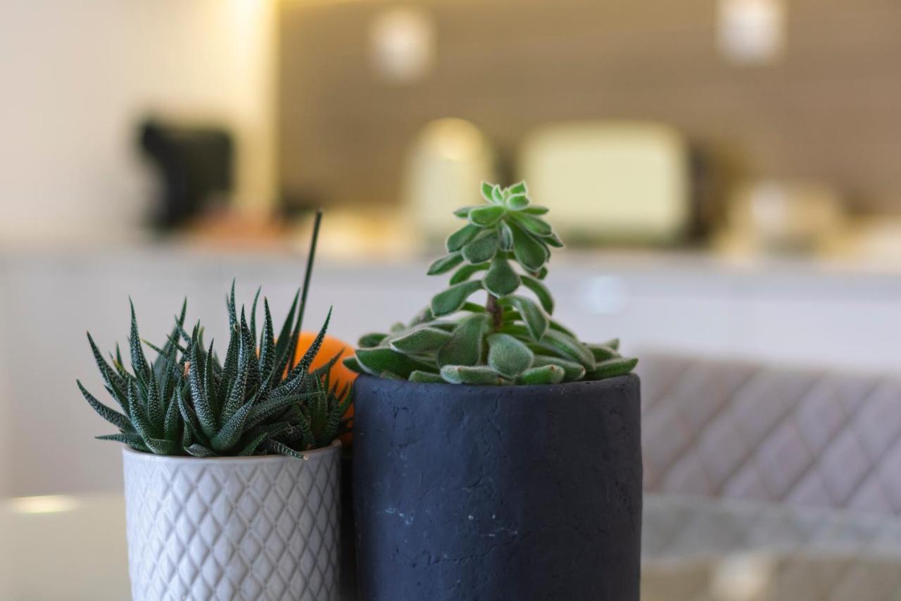 Apartmán Casas Da Oliveira Setúbal Exteriér fotografie